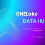 OneLake Data Hub